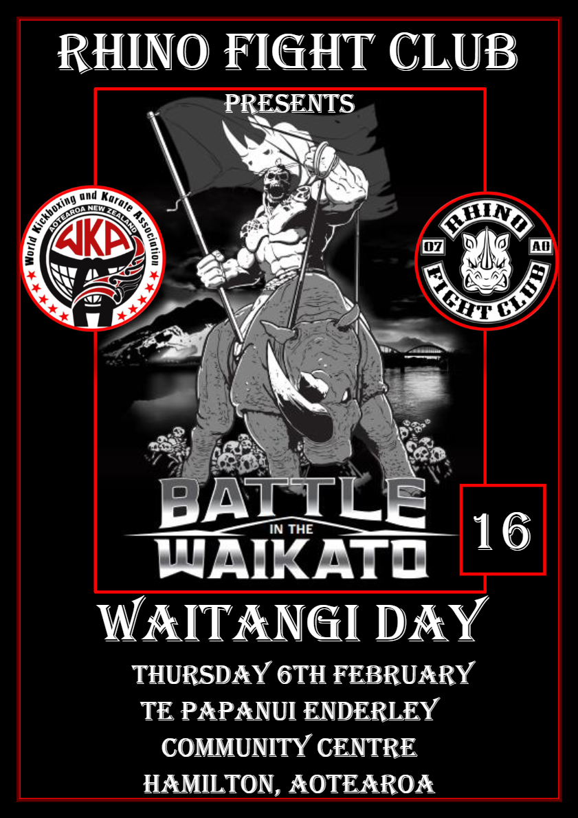 Battle in the Waikato 16